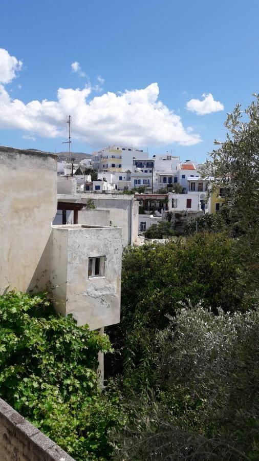 Enalion-Tinos Bed & Breakfast Exterior foto